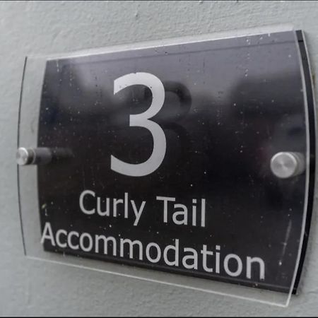 Curly Tail Accommodation บิช็อปส์คาสเซิล ภายนอก รูปภาพ