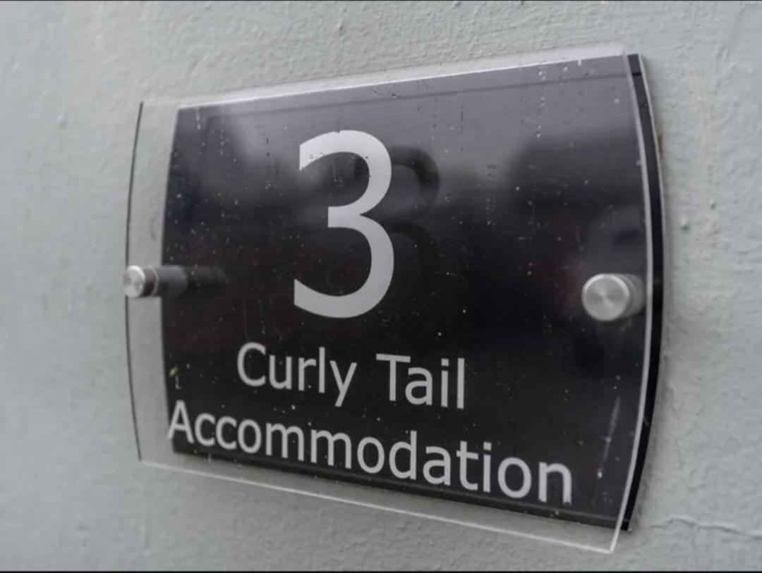 Curly Tail Accommodation บิช็อปส์คาสเซิล ภายนอก รูปภาพ