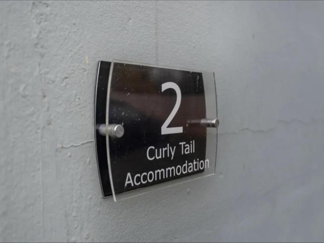Curly Tail Accommodation บิช็อปส์คาสเซิล ภายนอก รูปภาพ